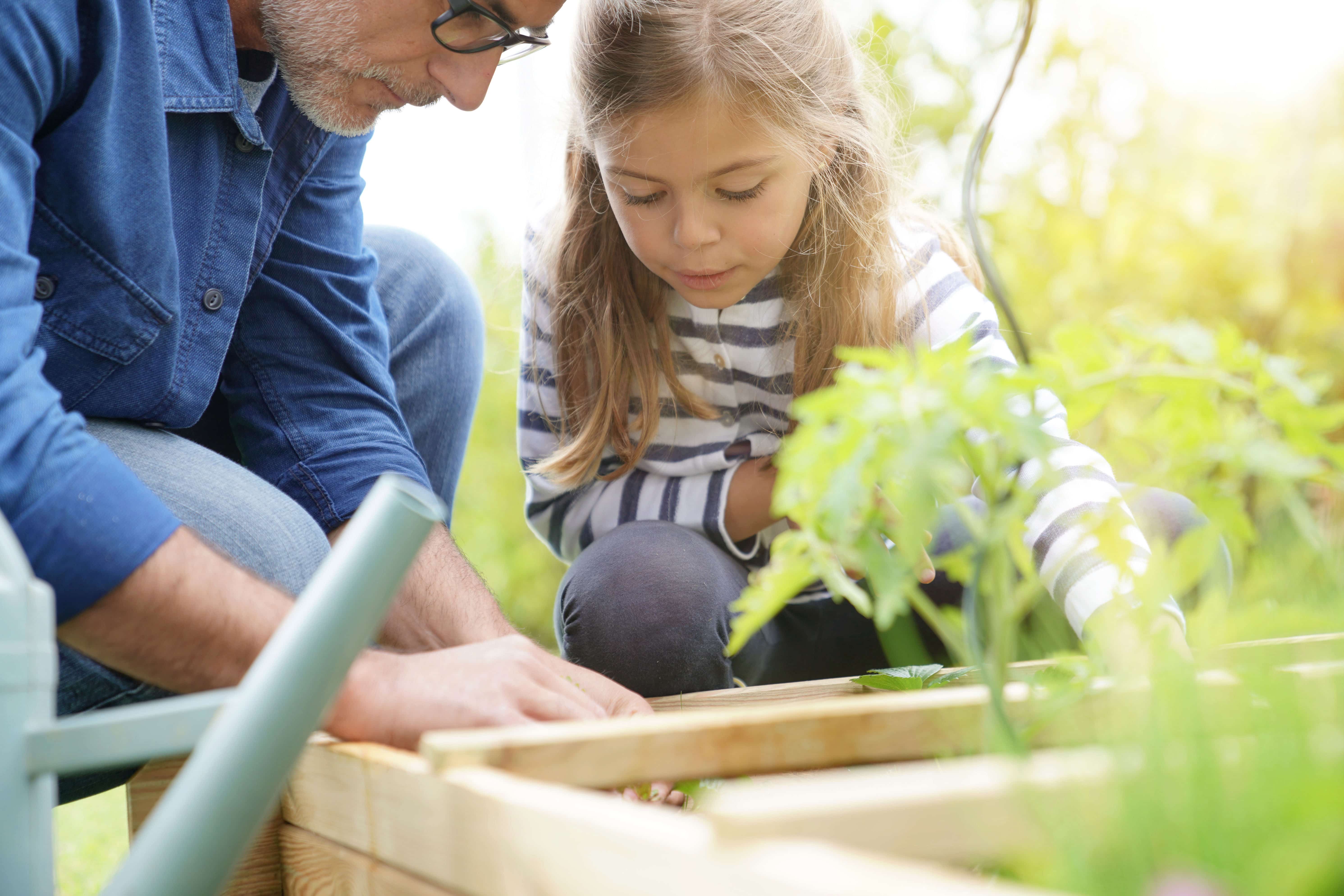 Father and daughter gardening together, home vegetable garden