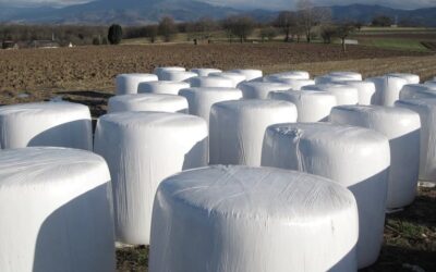 Lancement du projet de récupération des plastiques agricoles